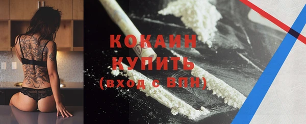 эйфоретик Няндома