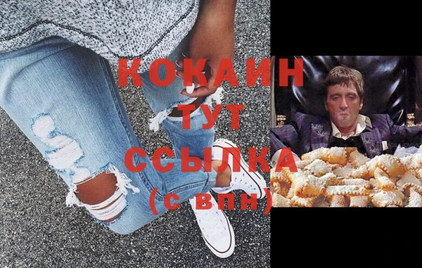 spice Новодвинск