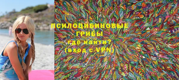 сатива Нягань