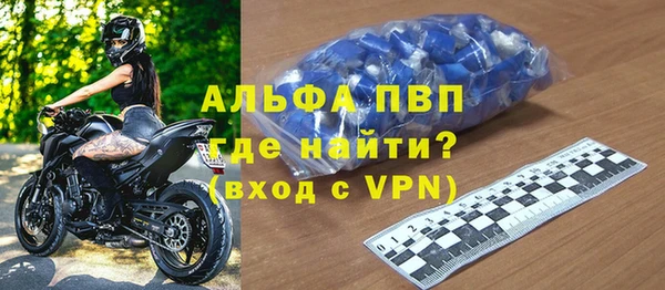 spice Новодвинск