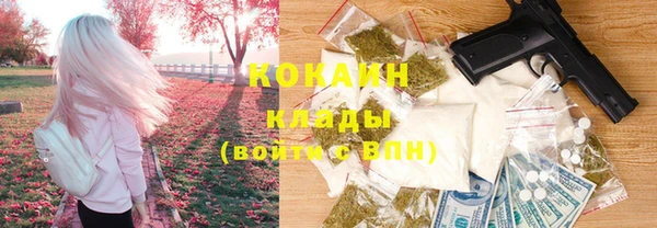 стафф Новокубанск