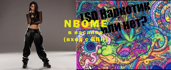 стафф Новокубанск