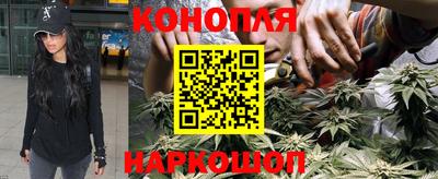 шишки Апрелевка