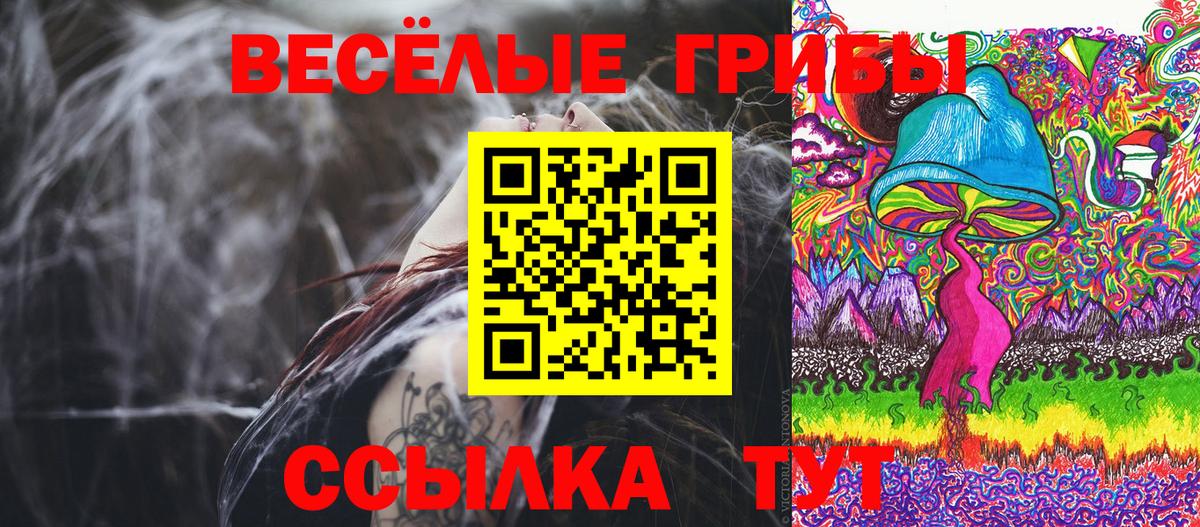 Кореновск  цены   Вход с VPN  Галлюциногенные грибы Psilocybine cubensis 